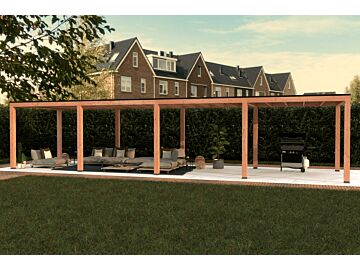 Douglas overkapping 1200 x 300 cm Leo