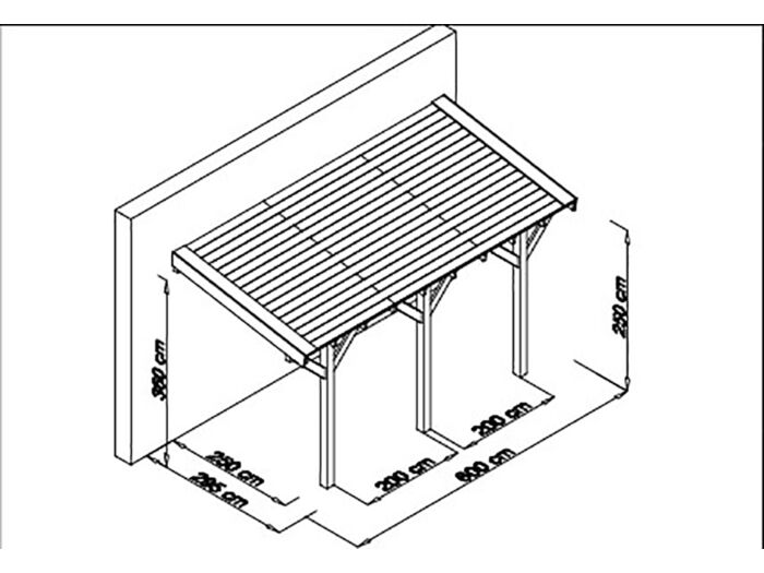 Douglas houten veranda DHZ 600 x 300 cm