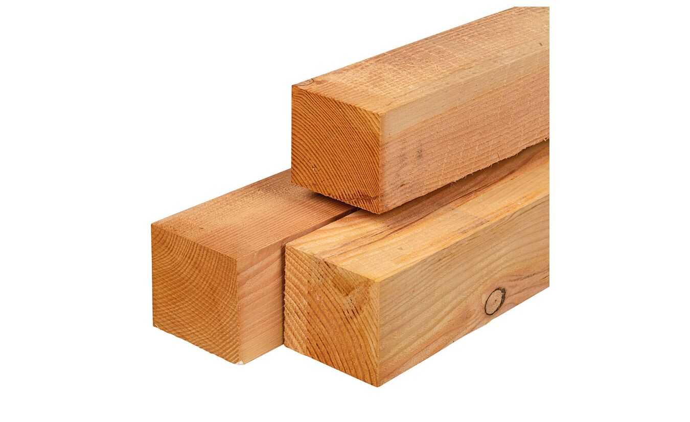 Tuinpaal lariks douglas 12x12x300cm