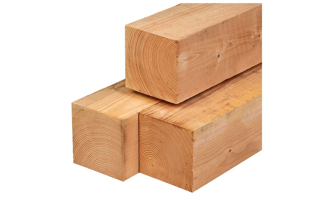 Tuinpaal lariks douglas 20x20x250cm