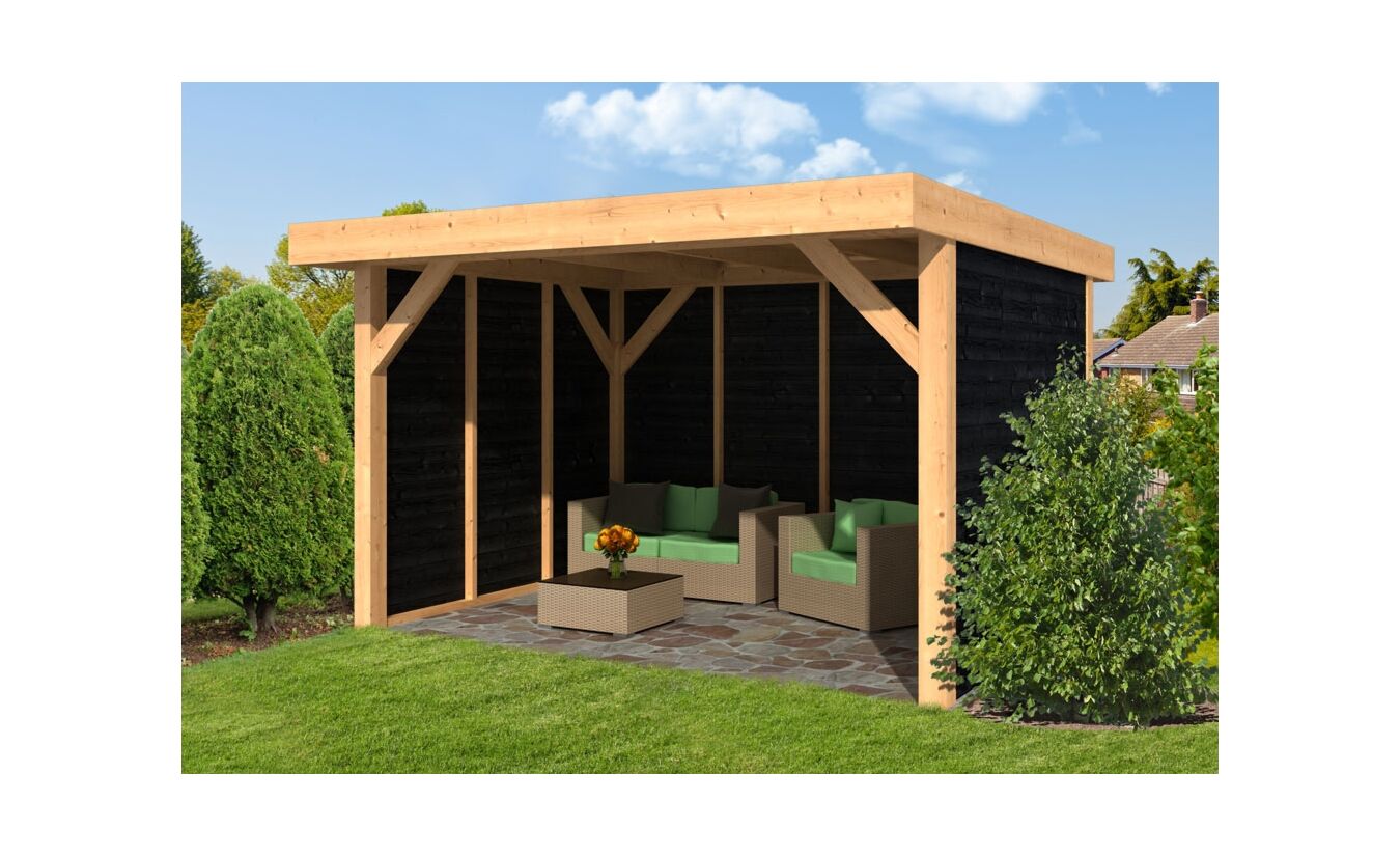 Lariks Douglas overkapping Ommen met zwarte wanden DHZ bouw 400x300cm