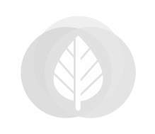 Houten inritpoort 360cm breed (2 delen 180cm breed)