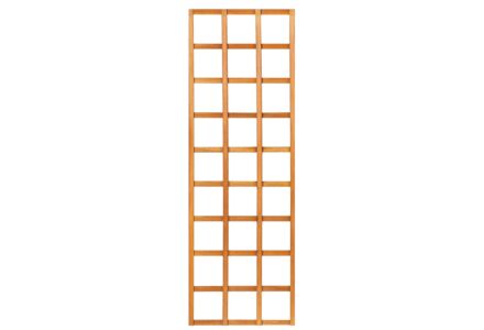 Rechte trellis recht hardhout 180x60cm