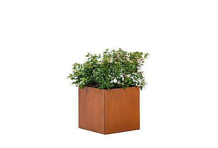 Cortenstaal bloembak Hudson klein 50x50x50cm