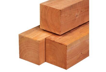 Tuinpalen Red Class Wood 20x20x300cm