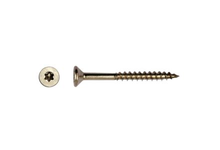 Schroeven RVS T-drive / Torx 5x70mm 100 stuks