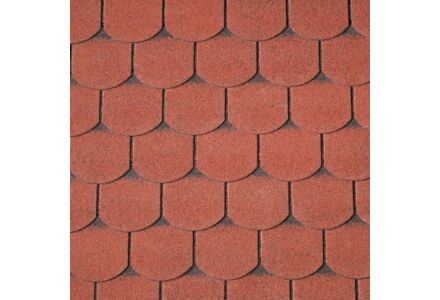 Dakshingles beverstaart rood