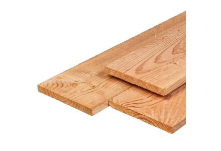 Tuinplank Lariks Douglas 2.2x20x300cm schuttingplank