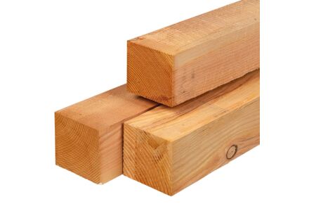 Tuinpaal lariks douglas 12x12x300cm