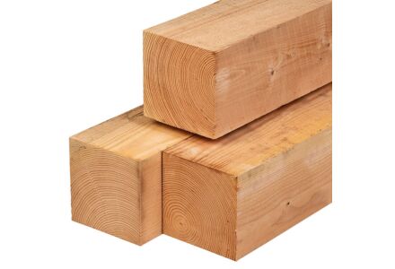 Tuinpaal lariks douglas 20x20x400cm