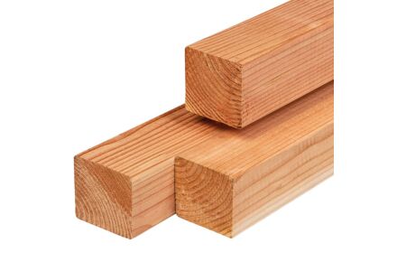Tuinpaal lariks douglas 11x11cm