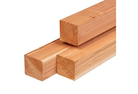 Tuinpaal lariks douglas 8.5x8.5cm
