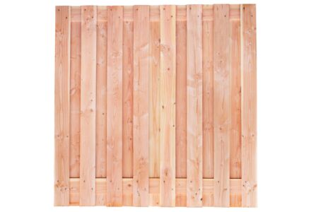 Tuinscherm Lariks Douglas Winterberg 17-planks 180x180cm