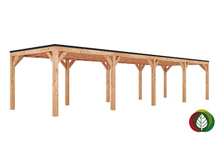 Douglas overkapping 1200 x 300 cm Leo