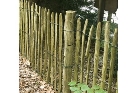 Kastanjepalen diameter 8-10 x lengte 175cm