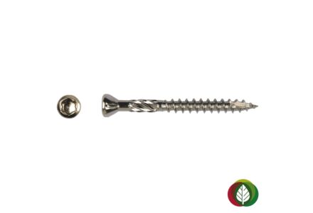 Vlonderschroeven Torx RVS
